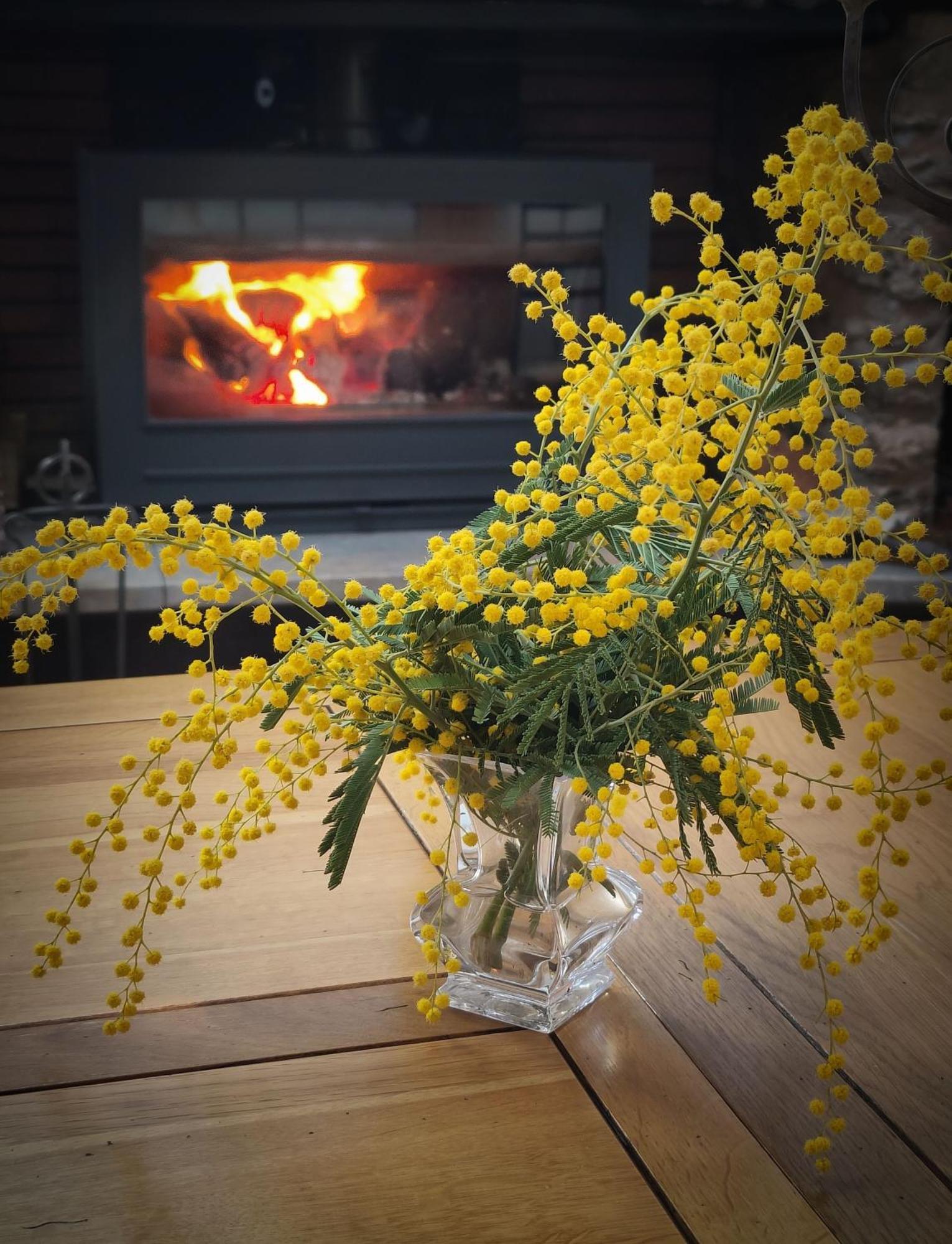 Bed and Breakfast Mas Peu Del Causse Тюир Экстерьер фото